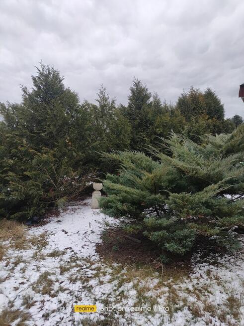 Działka RODO w Pile. Działki Zalesie.