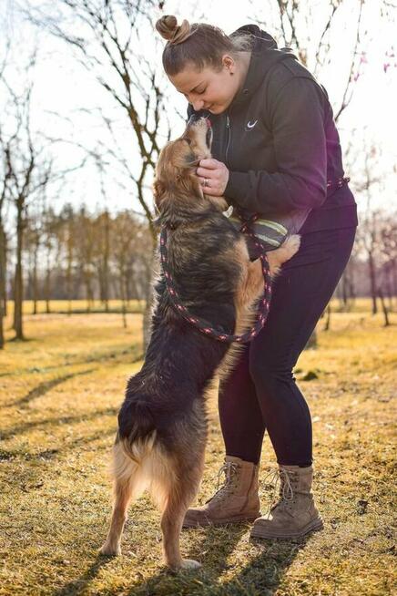 Dunkan-cudowny pozytywny pies do adopcji-podarun dom