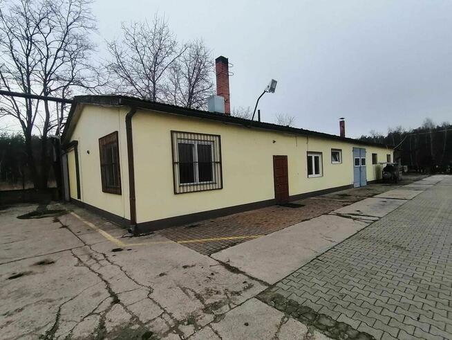 Nieruchomość Przemysłowa Tartak