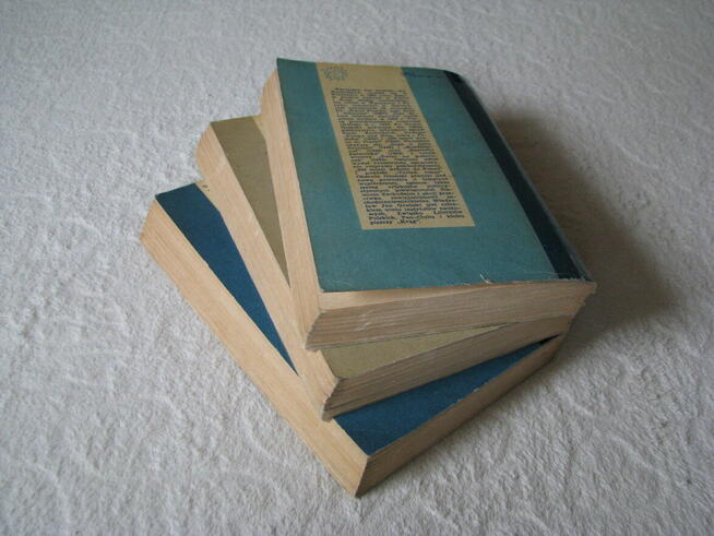 Saga o Jarlu Broniszu, komplet 3 tomy, Władysław Jan Grabski