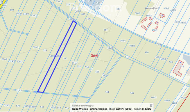 Lasy w miejscowości Górki - powiat Miński