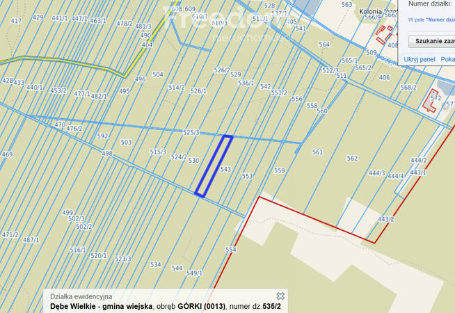 Lasy w miejscowości Górki - powiat Miński