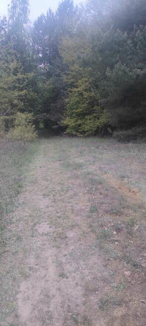 Sprzedam działki budowlane