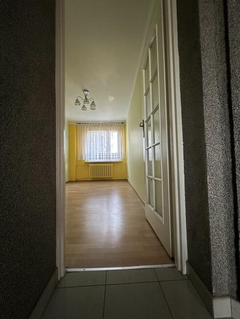 Mieszkanie wysoki standard. Wspólnota. Bez pośredników.