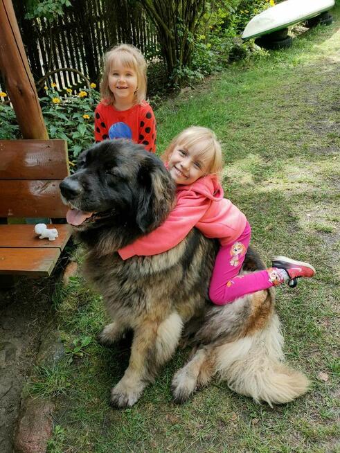 Agroturystyka bezpośrednio nad jeziorem powidzkim u Piotra