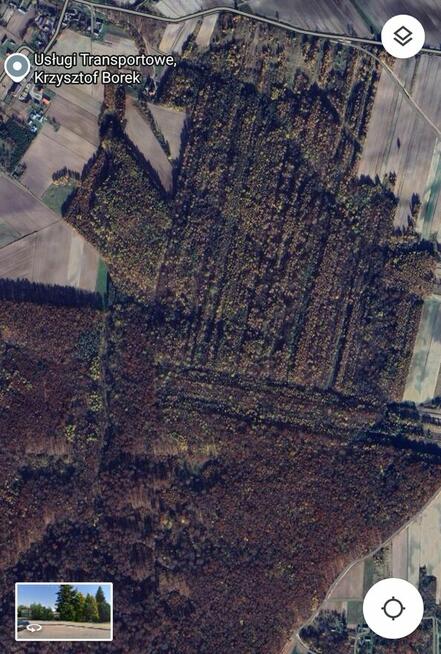 Stary Las bukowo-grabowo-dębowy o pow. 1,13ha gm. Łabunie