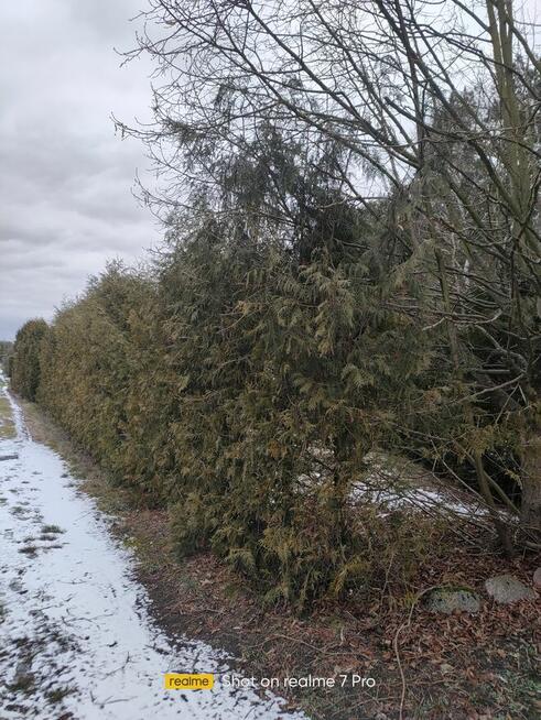 Działka RODO w Pile. Działki Zalesie.