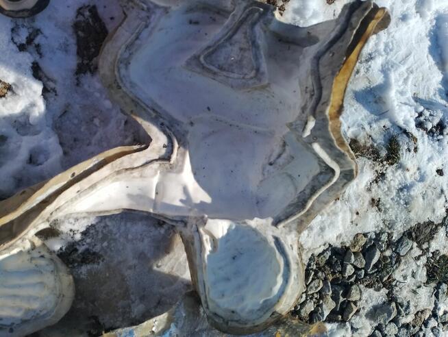 Forma Formy odlewnicze Chłopiec Chłopak Zwierzęta Odlewy Ozd