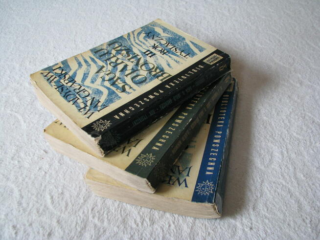 Saga o Jarlu Broniszu, komplet 3 tomy, Władysław Jan Grabski