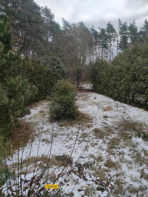 Działka RODO w Pile. Działki Zalesie.