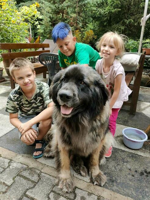 Wypoczynek i noclegi bezpośrednio nad jeziorem powidzkim