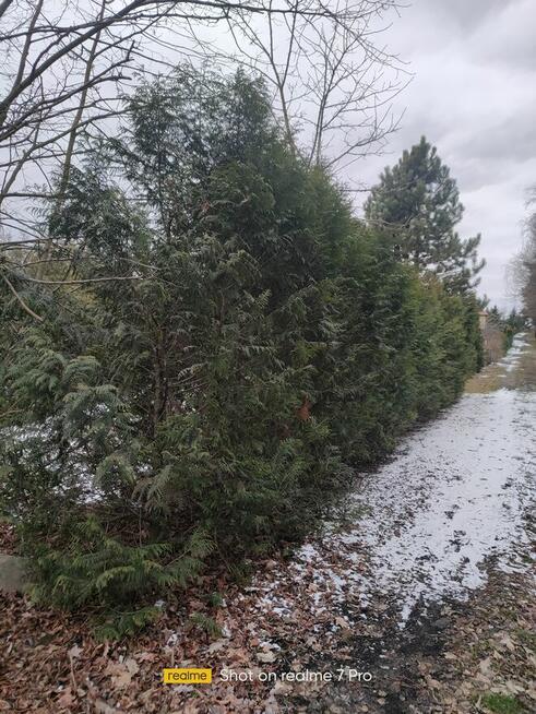 Działka RODO w Pile. Działki Zalesie.