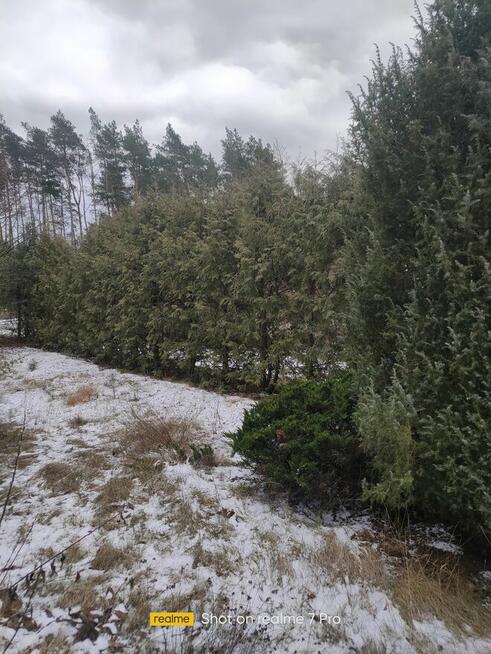 Działka RODO w Pile. Działki Zalesie.