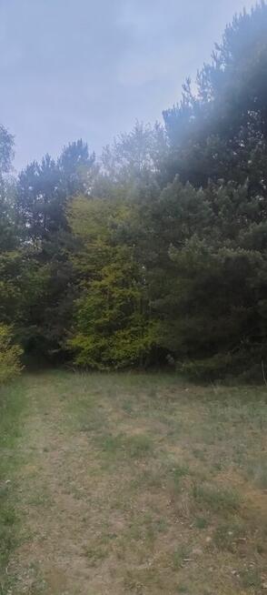 Sprzedam działki budowlane