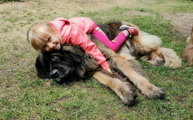 Wypoczynek i noclegi bezpośrednio nad jeziorem powidzkim