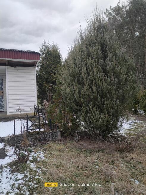 Działka RODO w Pile. Działki Zalesie.