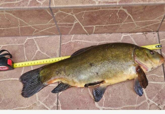 Super domek letniskowy nad jez. Marksoby. MAZURY-JERUTKI.