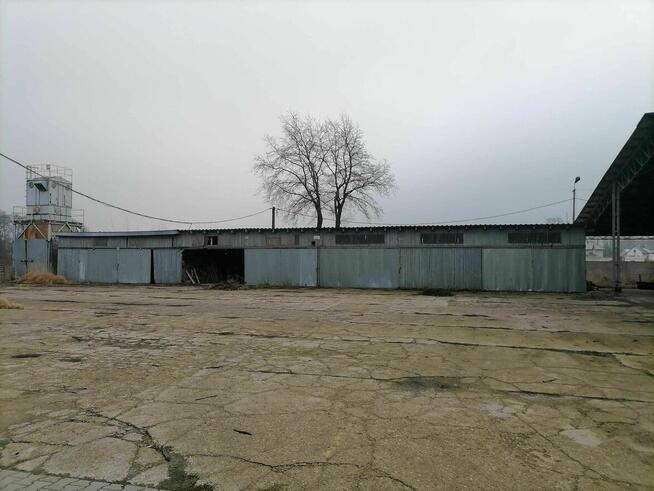 Nieruchomość Przemysłowa Tartak