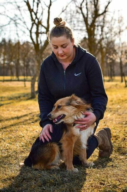 Dunkan-cudowny pozytywny pies do adopcji-podarun dom