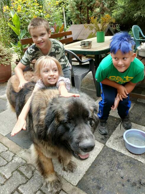 Agroturystyka bezpośrednio nad jeziorem powidzkim u Piotra