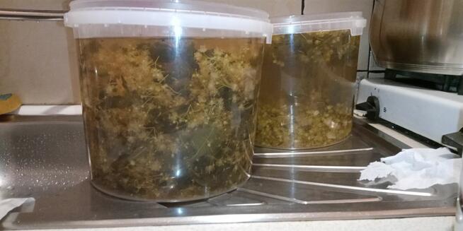 Syrop z Lipy 1.7 litra