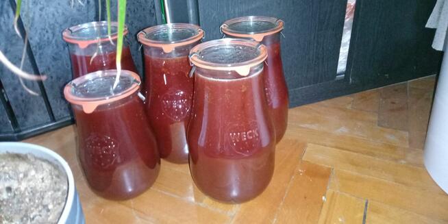 Syrop z Lipy 1.7 litra