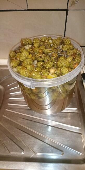 Syrop z Lipy 1.7 litra