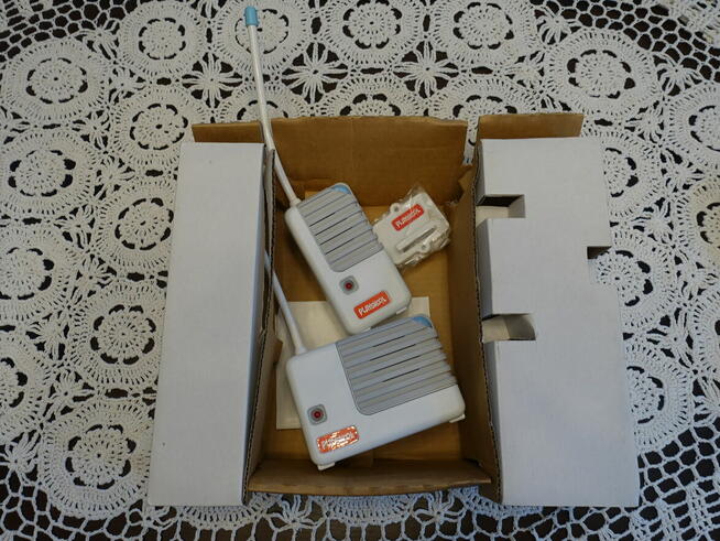 Elektroniczna Niania PLAYSKOOL