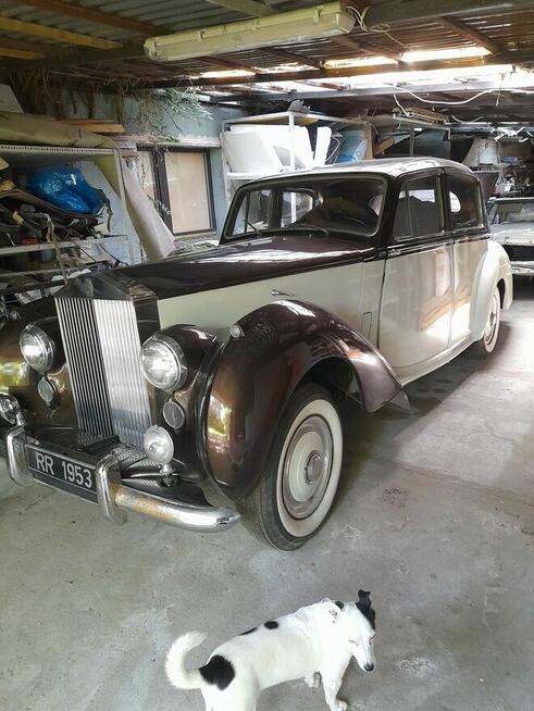 WV Ogórek 1969 r.Mustang 1969, Volvo 1962 Rols Royce 1953r.