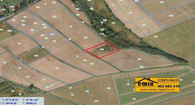 Grunt rolny, działka rolna, pusta, - pow. złotoryjski