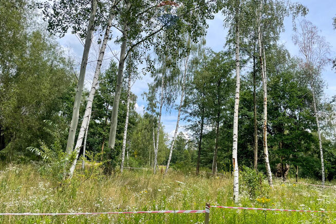 Działka 1151m2 Budy Michałowskie, gm. Jaktorów