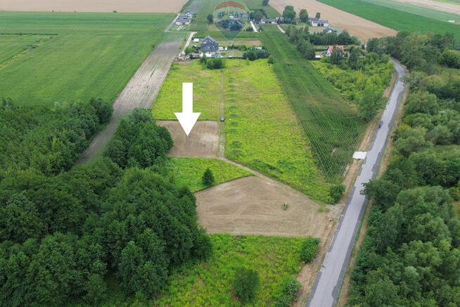 Działka 1501m2 Kłudno Nowe gm. Grodzisk Mazowiecki