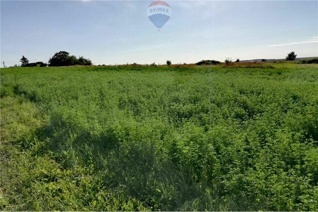 Działka rolna Poręba-Niwki