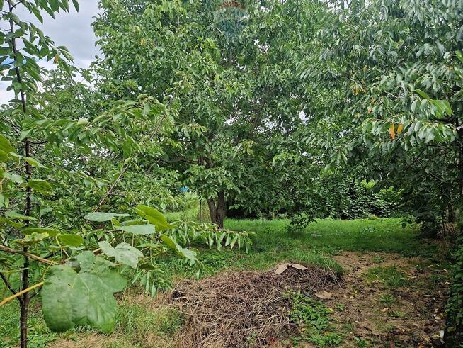 Zabudowania wiejskie z cegły - duża działka