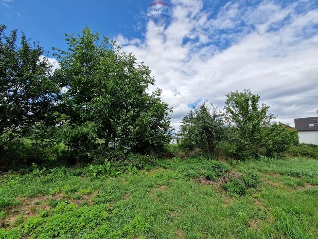 Zabudowania wiejskie z cegły - duża działka