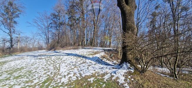 DZIAŁKA WIDOKOWA –IDEALNA POD OSIEDLE DOMÓW PREMIU