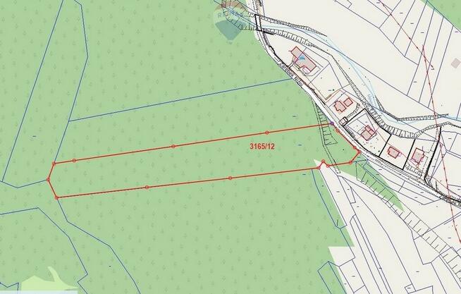 ŁOPUSZNA - duża dzialka leśna