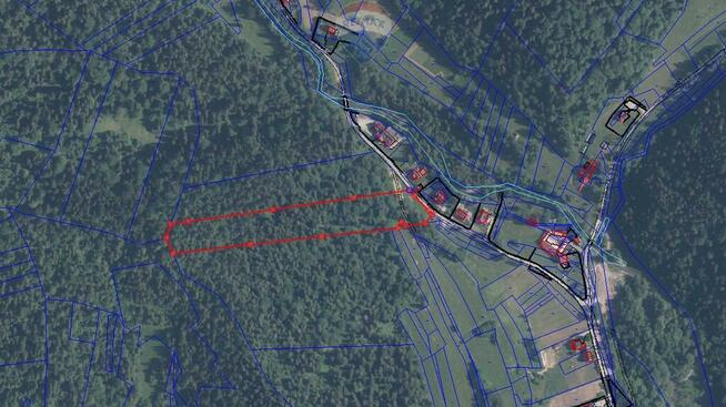 ŁOPUSZNA - duża dzialka leśna