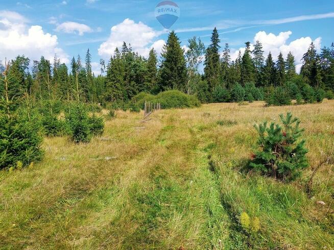 Działka z potencjałem