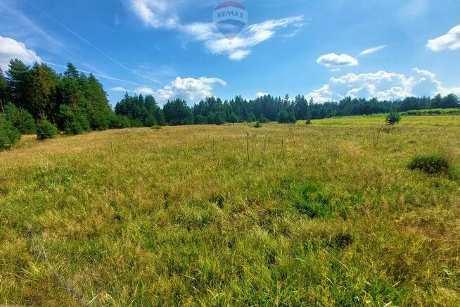 Działka z potencjałem