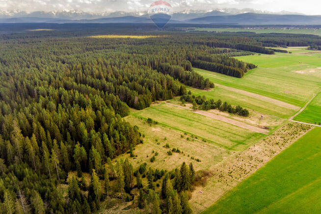 Działka z potencjałem
