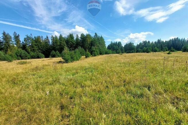 Działka z potencjałem