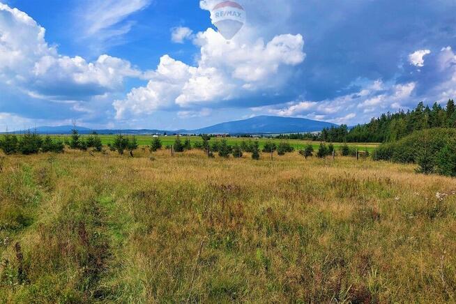 Działka z potencjałem