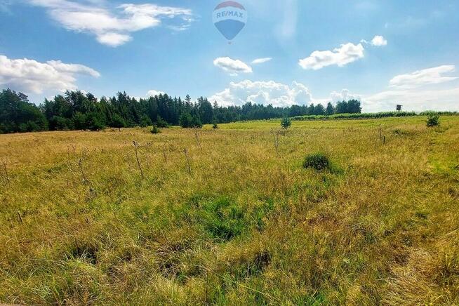 Działka z potencjałem