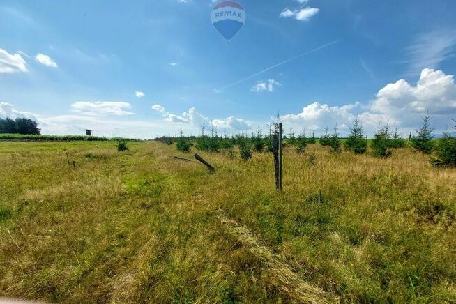 Działka z potencjałem