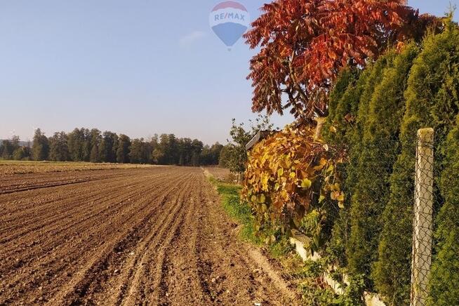 Działka Rawa Mazowiecka - Jasień