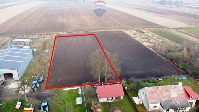 Działka siedliskowa w Kurzniach, gmina Popielów