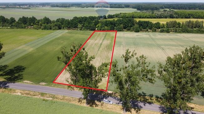 BRZEG OKOLICE ~ 5 KM DOJAZD ASFALTOWY DW