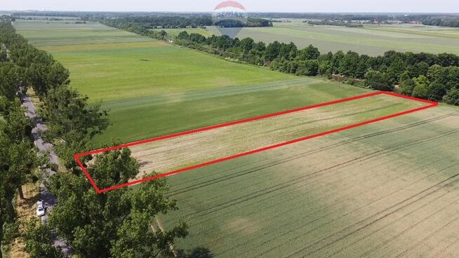 BRZEG OKOLICE ~ 5 KM DOJAZD ASFALTOWY DW