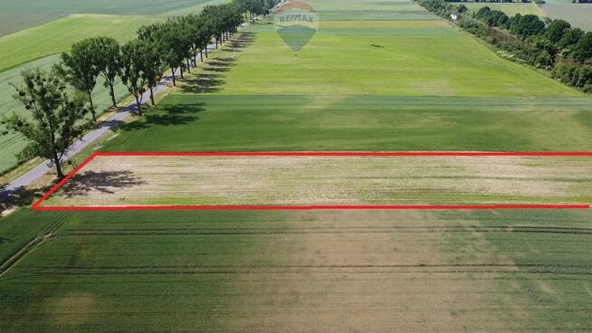 BRZEG OKOLICE ~ 5 KM DOJAZD ASFALTOWY DW